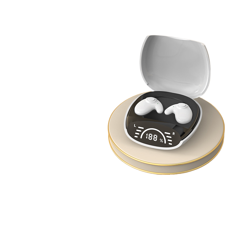 Wireless Bluetooth Earbuds with Charging Case