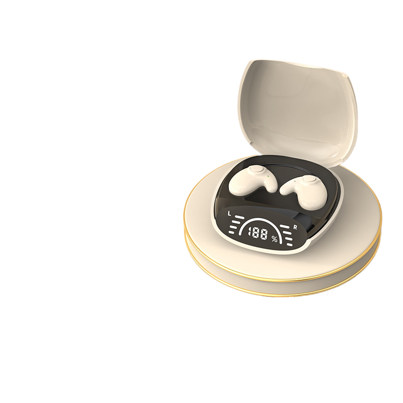 Wireless Bluetooth Earbuds with Charging Case