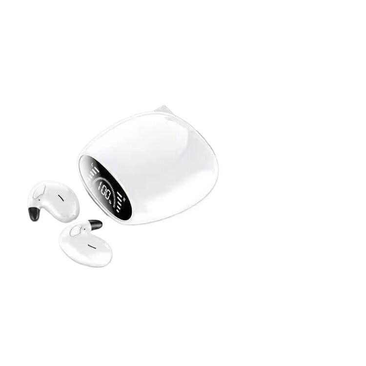 Wireless Bluetooth Earbuds with Charging Case