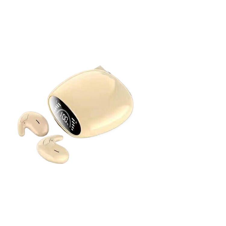 Wireless Bluetooth Earbuds with Charging Case