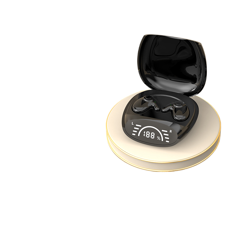 Wireless Bluetooth Earbuds with Charging Case